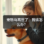 宠物鸟离世了,我该怎么办?(图3) 宠物鸟离世了,我该怎么办?(图3)
