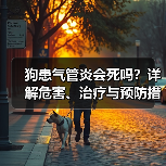 狗患气管炎会死吗？详解危害、治疗与预防措施(图1)