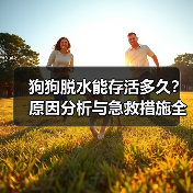 狗狗脱水能存活多久?原因分析与急救措施全解析(图4) 狗狗脱水能存活多久?原因分析与急救措施全解析(图4)