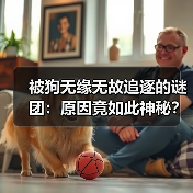 被狗无缘无故追逐的谜团：原因竟如此神秘？(图2)