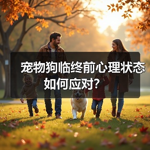 宠物狗临终前心理状态如何应对?(图1) 宠物狗临终前心理状态如何应对?(图1)