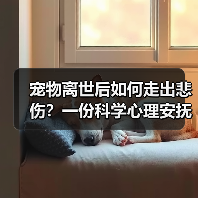 宠物离世后如何走出悲伤？一份科学心理安抚指南(图3)