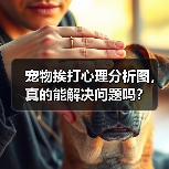 宠物挨打心理分析图，真的能解决问题吗？ - 辰飞雨新生家伴