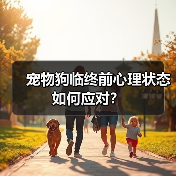 宠物狗临终前心理状态如何应对?(图4) 宠物狗临终前心理状态如何应对?(图4)