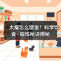 太瘦怎么增重？科学饮食+锻炼秘诀揭秘(图2)