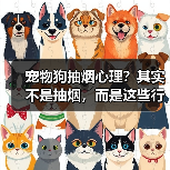 宠物狗抽烟心理?其实不是抽烟,而是这些行为在“模仿”!(图4) 宠物狗抽烟心理?其实不是抽烟,而是这些行为在“模仿”!(图4)