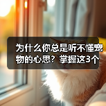 为什么你总是听不懂宠物的心思?掌握这3个技巧轻松沟通(图4) 为什么你总是听不懂宠物的心思?掌握这3个技巧轻松沟通(图4)