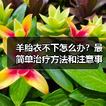 羊胎衣不下怎么办？最简单治疗方法和注意事项详解(图1)
