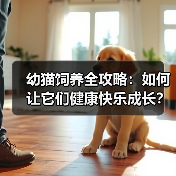 幼猫饲养全攻略：如何让它们健康快乐成长？(图1)