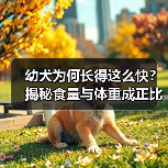 幼犬为何长得这么快？揭秘食量与体重成正比的原因(图4)