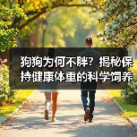 狗狗为何不胖？揭秘保持健康体重的科学饲养方法(图2)
