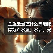 金鱼最爱在什么环境吃得好？水温、水质、光照全解析(图2)