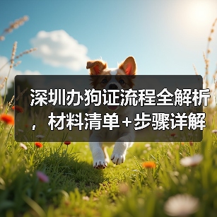 深圳办狗证流程全解析，材料清单+步骤详解(图3)