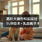高阶犬猫外科实操班：SUB技术+乳糜胸手术全解析(图3)