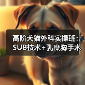 高阶犬猫外科实操班：SUB技术+乳糜胸手术全解析(图4)
