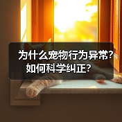 为什么宠物行为异常?如何科学纠正?(图3) 为什么宠物行为异常?如何科学纠正?(图3)