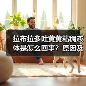 拉布拉多吐黄黄粘稠液体是怎么回事？原因及处理方法(图2)