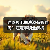 猫咪换毛期洗澡有影响吗？注意事项全解析(图2)