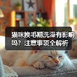 猫咪换毛期洗澡有影响吗？注意事项全解析(图3)