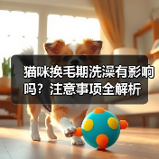 猫咪换毛期洗澡有影响吗？注意事项全解析(图4)