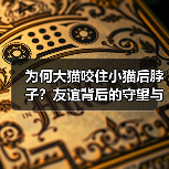 为何大猫咬住小猫后脖子？友谊背后的守望与信任(图3)