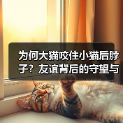 为何大猫咬住小猫后脖子？友谊背后的守望与信任(图4)