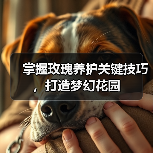 掌握玫瑰养护关键技巧，打造梦幻花园(图2)