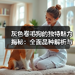 灰色卷毛狗的独特魅力揭秘：全面品种解析与养宠指南(图2)