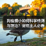 狗瘟细小如何科学检测与防治？宠物主人必看的精准诊断方法(图2)