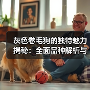 灰色卷毛狗的独特魅力揭秘：全面品种解析与养宠指南(图3)
