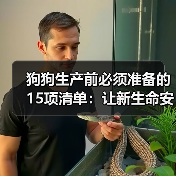 狗狗生产前必须准备的15项清单：让新生命安全出生(图1)