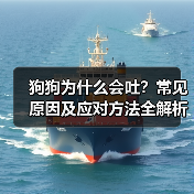 狗狗为什么会吐？常见原因及应对方法全解析(图3)