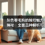 灰色卷毛狗的独特魅力揭秘：全面品种解析与养宠指南(图4)