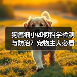 狗瘟细小如何科学检测与防治？宠物主人必看的精准诊断方法(图3)