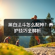 黑白法斗怎么配种？养护技巧全解析(图2)