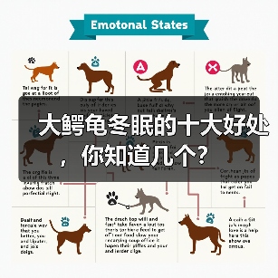 大鳄龟冬眠的十大好处，你知道几个？(图3)