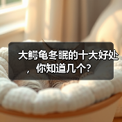 大鳄龟冬眠的十大好处，你知道几个？(图4)