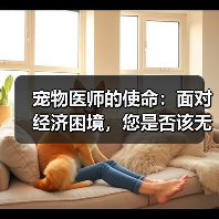 宠物医师的使命：面对经济困境，您是否该无条件支持养宠？(图3)