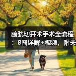 膀胱切开术手术全流程：8图详解+视频，附关键步骤(图3)