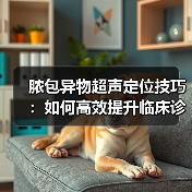 脓包异物超声定位技巧:如何高效提升临床诊断效率?(图2) 脓包异物超声定位技巧:如何高效提升临床诊断效率?(图2)