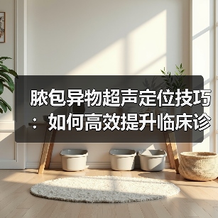 脓包异物超声定位技巧:如何高效提升临床诊断效率?(图3) 脓包异物超声定位技巧:如何高效提升临床诊断效率?(图3)