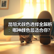 昆明犬颜色选择全解析：哪种颜色最适合你？(图2)