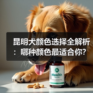 昆明犬颜色选择全解析：哪种颜色最适合你？(图1)
