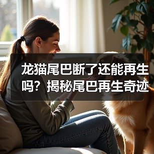 龙猫尾巴断了还能再生吗？揭秘尾巴再生奇迹与护理全攻略(图2)