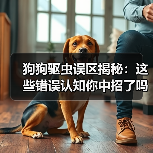 狗狗驱虫误区揭秘：这些错误认知你中招了吗？(图3)