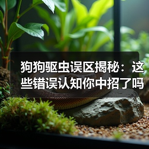 狗狗驱虫误区揭秘：这些错误认知你中招了吗？(图4)