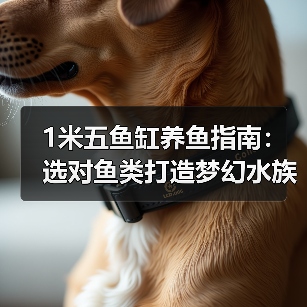 1米五鱼缸养鱼指南：选对鱼类打造梦幻水族乐园(图2)