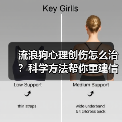 流浪狗心理创伤怎么治?科学方法帮你重建信任(图2) 流浪狗心理创伤怎么治?科学方法帮你重建信任(图2)