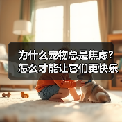 为什么宠物总是焦虑？怎么才能让它们更快乐？ - 辰飞雨新生家伴