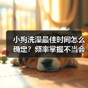 小狗洗澡最佳时间怎么确定?频率掌握不当会有哪些风险?(图3) 小狗洗澡最佳时间怎么确定?频率掌握不当会有哪些风险?(图3)